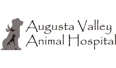 Augusta Valley Animal Hospital-HeaderLogo